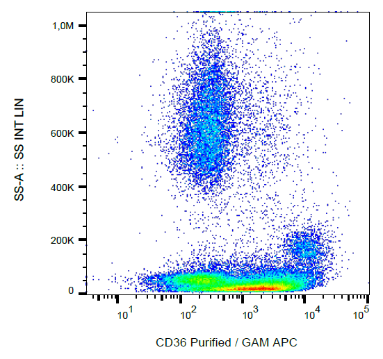 Anti-Hu CD36 Purified