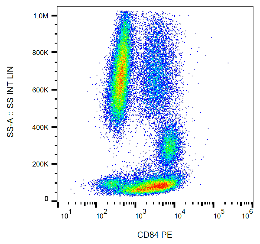 CD84 antibody (PE)
