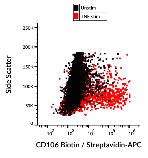 VCAM1 antibody (Biotin)