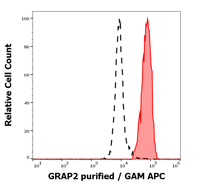 Anti-GRAP2 Purified