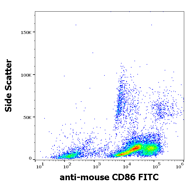 CD86 antibody (FITC)