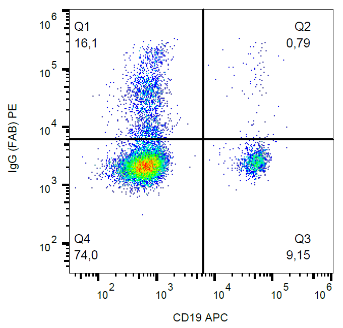 Mouse Anti-Human IgG (Fab) antibody (PE)