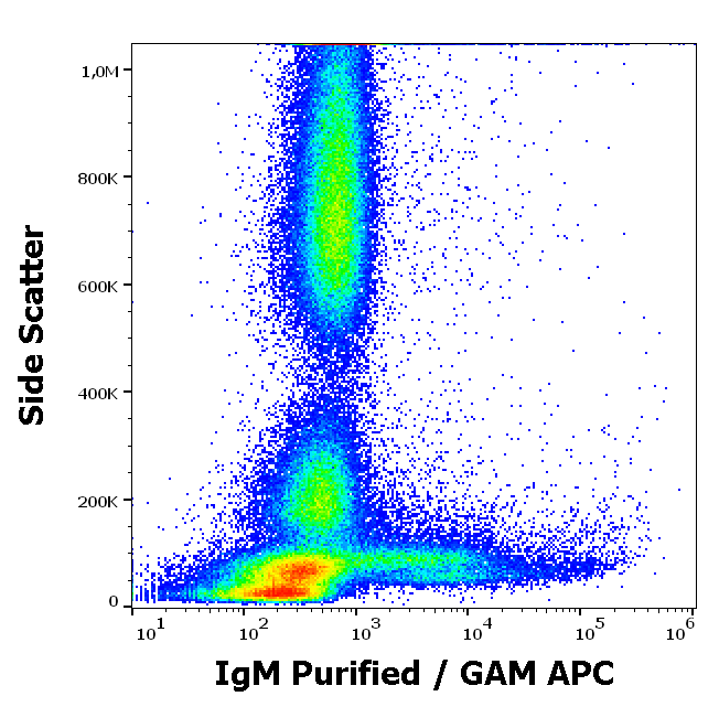 Anti-Hu IgM Purified