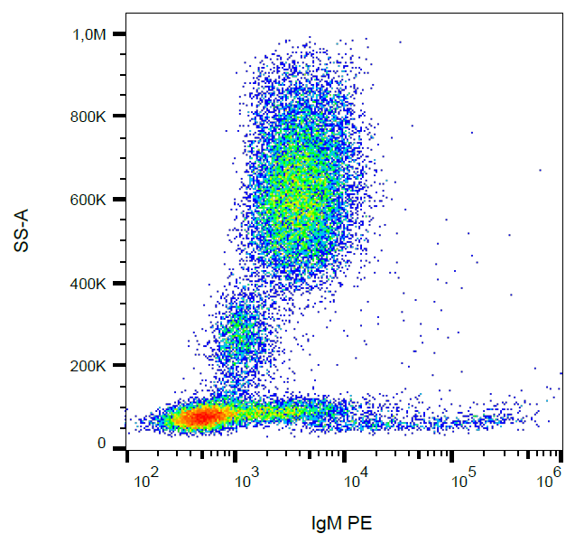 Mouse Anti-Human IgM antibody (PE)