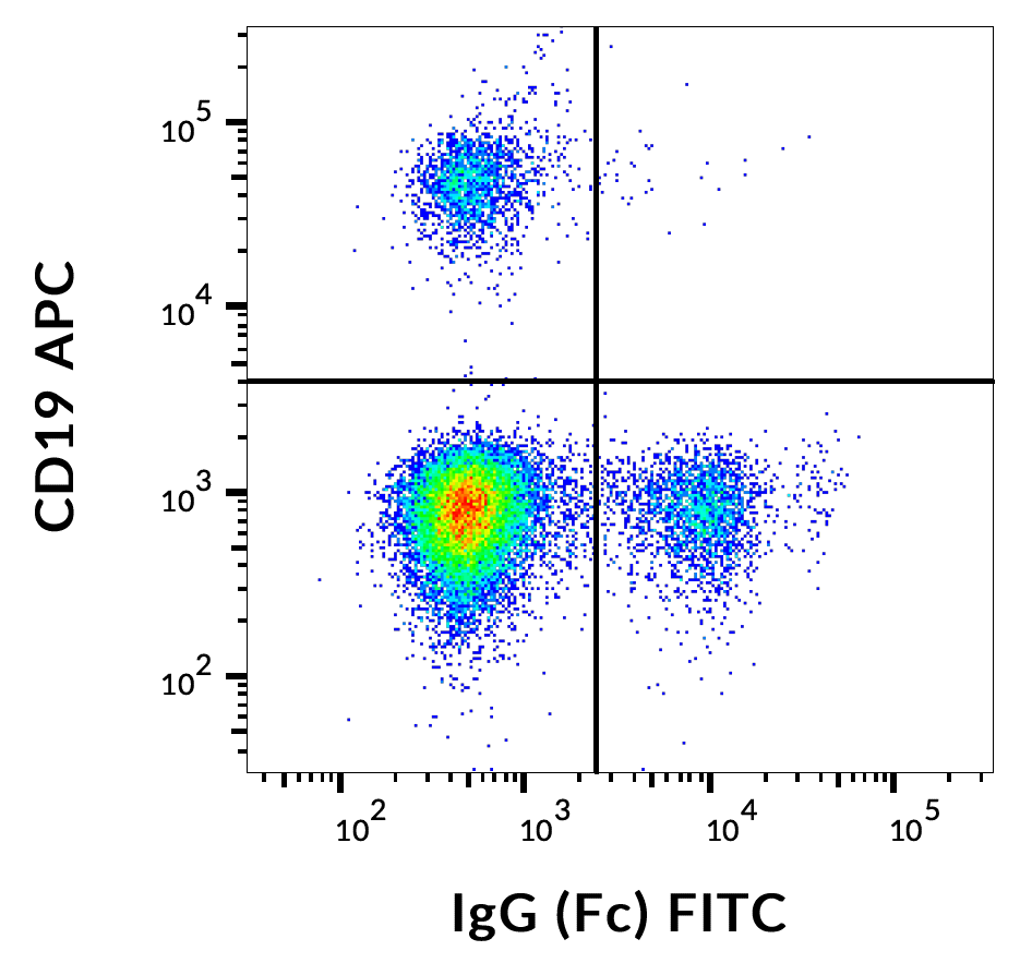 Mouse Anti-Human IgG (Fc) antibody (FITC)