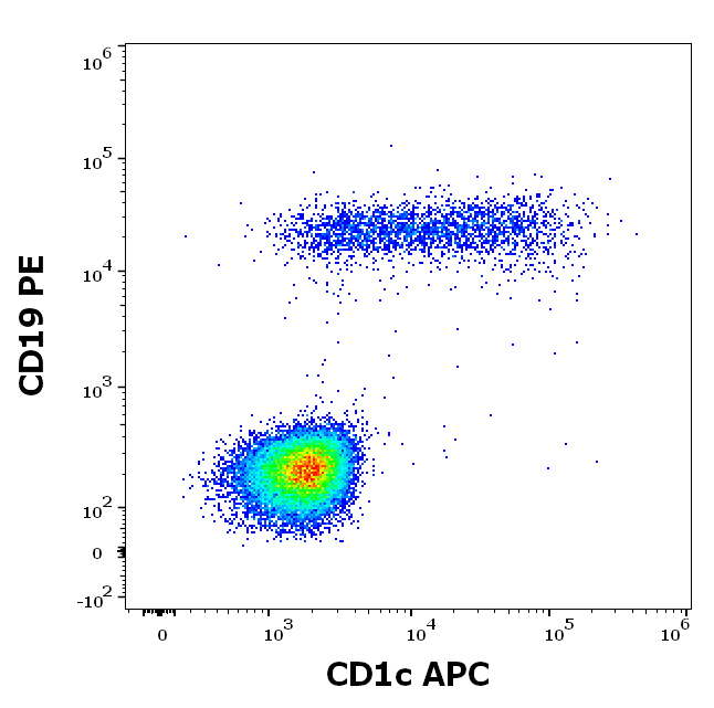 CD1c antibody (APC)
