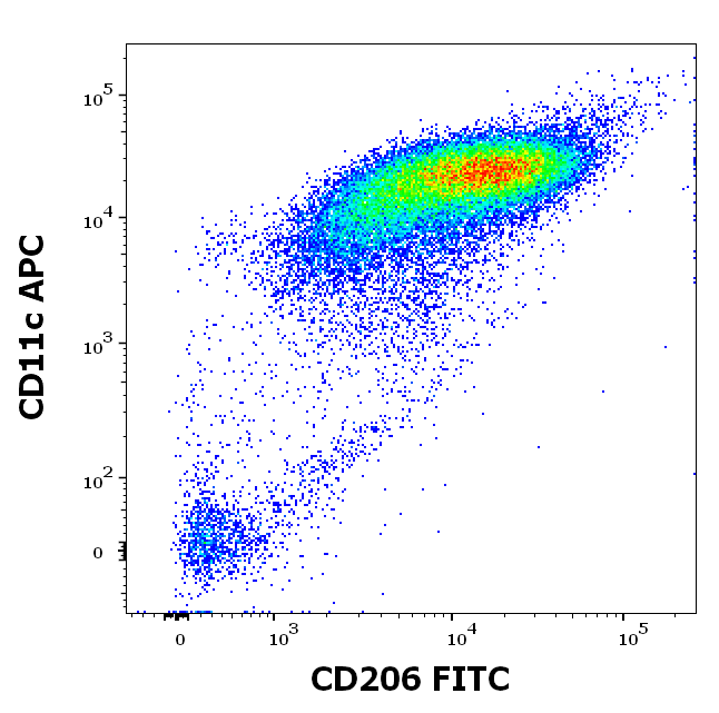 CD206 antibody (FITC)