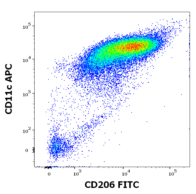 Anti-Hu CD206 FITC