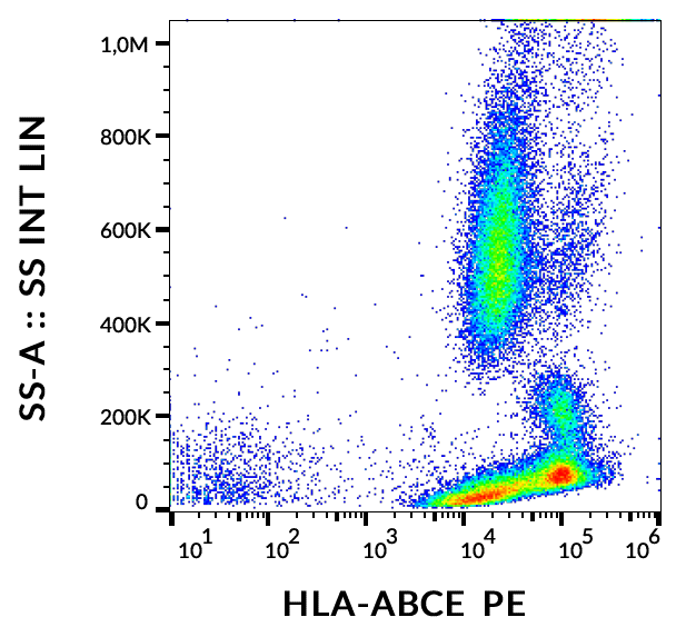 HLA-A+B+C+E antibody (PE)