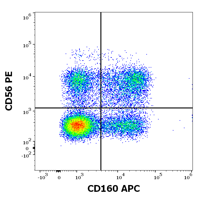 CD160 antibody (APC)