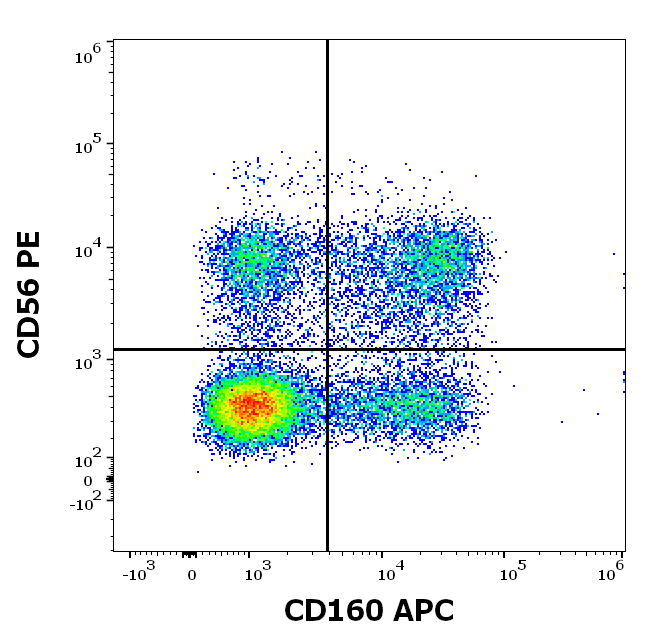 Anti-Hu CD160 APC