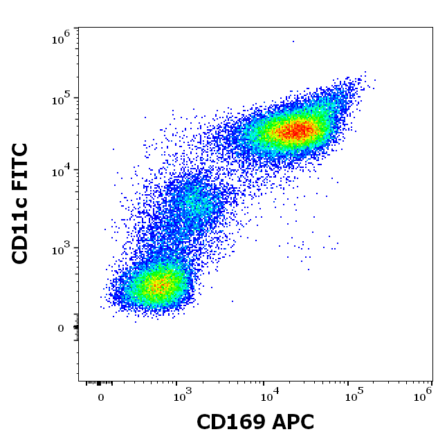 Anti-Hu CD169 APC