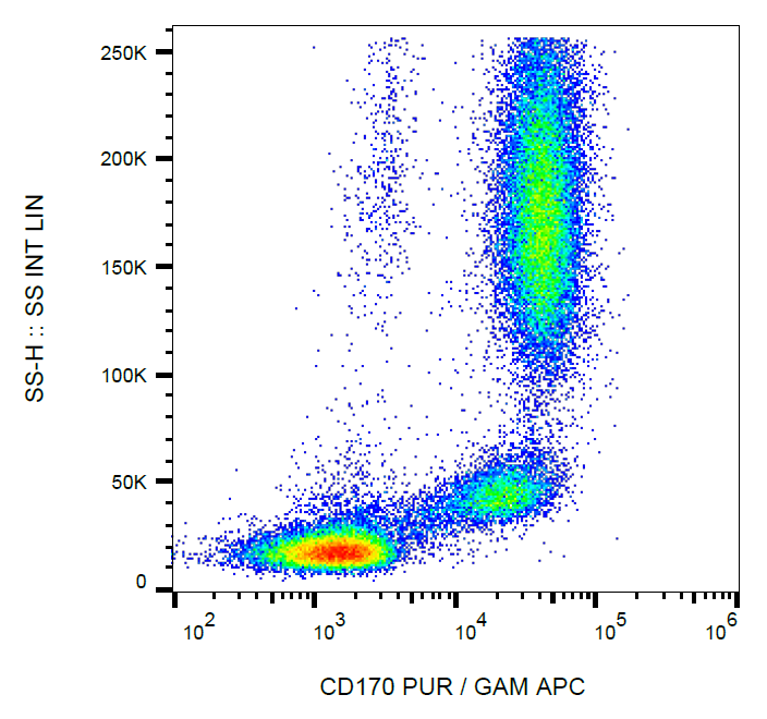 CD170 antibody