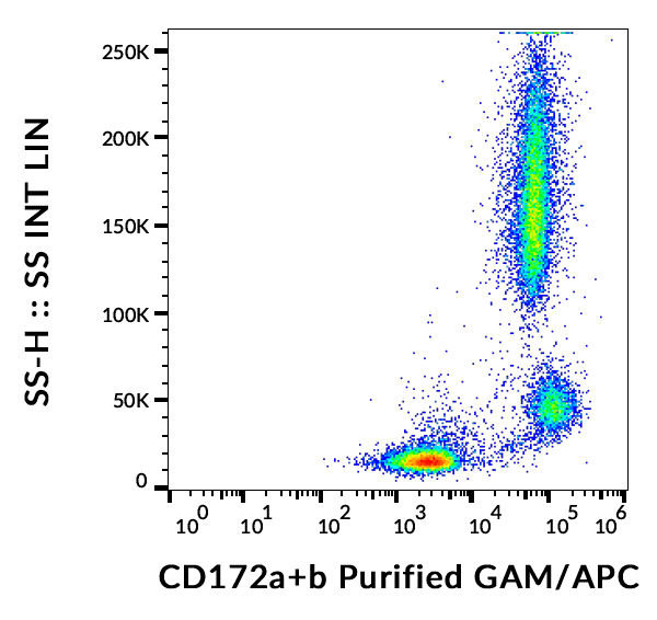 CD172a/b antibody