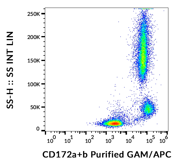 Anti-Hu CD172ab Purified
