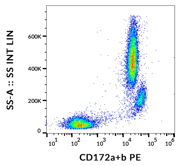 Anti-Hu CD172ab PE