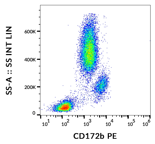 CD172b antibody (PE)