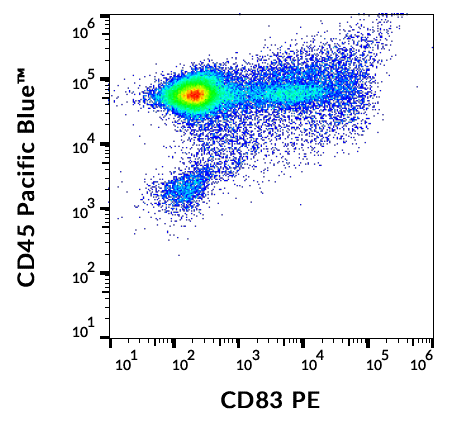 CD83 antibody (PE)