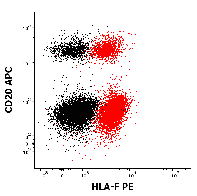 Anti-HLA-F PE