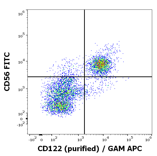 Anti-Hu CD122 Purified