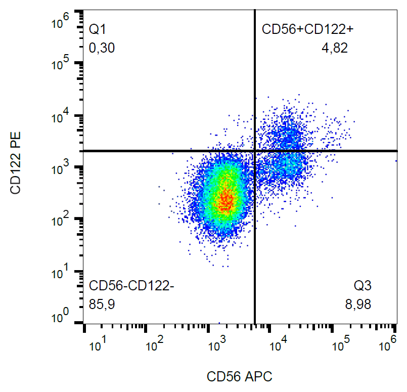 CD122 antibody (PE)