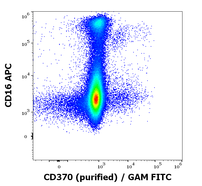 CD370 antibody