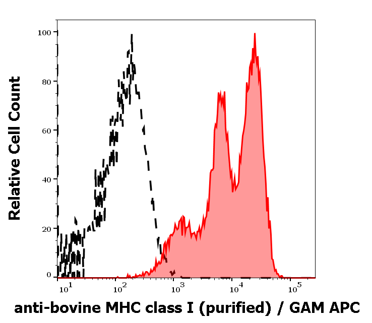 MHC Class I (alpha+beta 2m chains) antibody