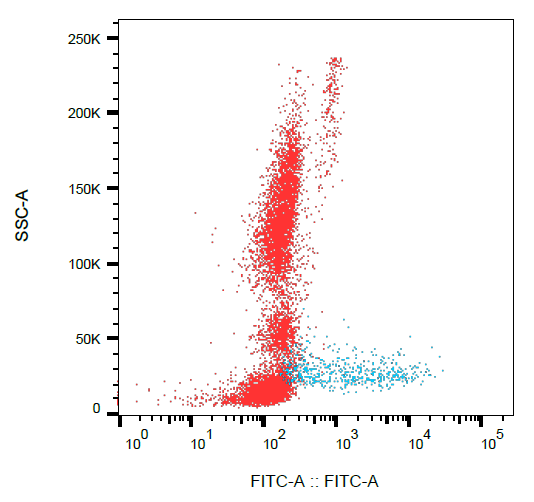 Syndecan 1 antibody (FITC)