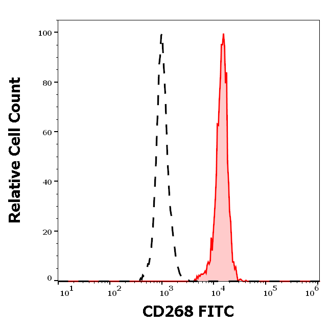 CD268 antibody (FITC)