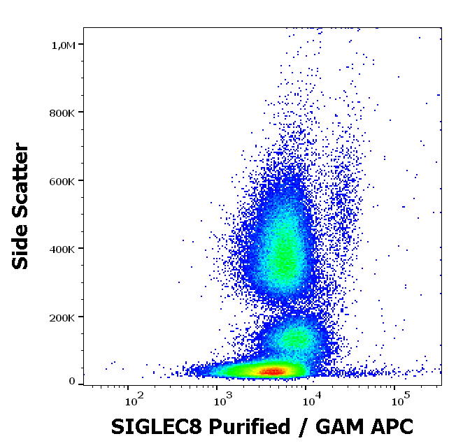 SIGLEC8 antibody