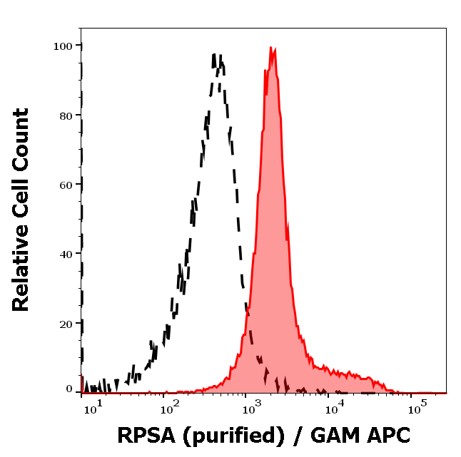 RPSA antibody