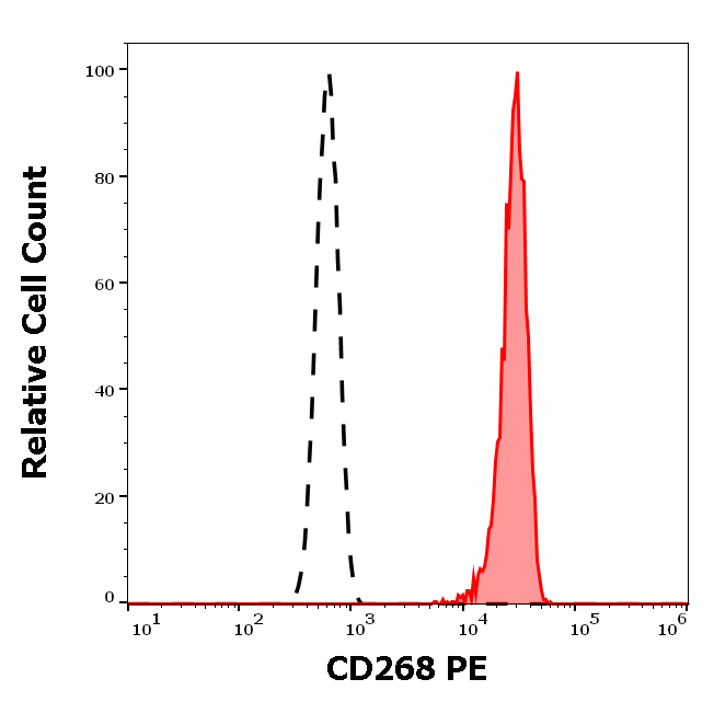 CD268 antibody (PE)