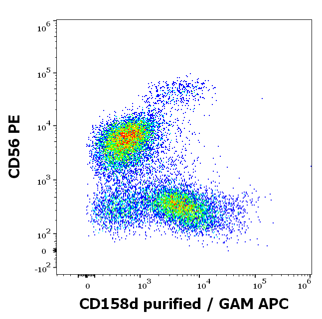 Anti-Hu CD158d Purified Low Endotoxin
