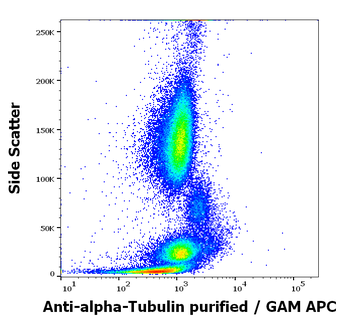 Anti-alpha-Tubulin Purified