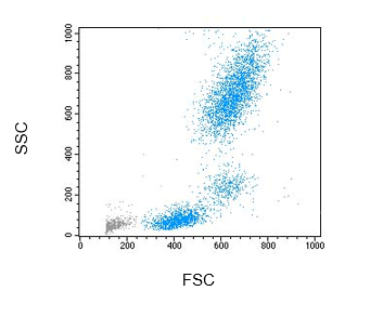 NM-LYSE: Flow Cytometry Lysing Solution