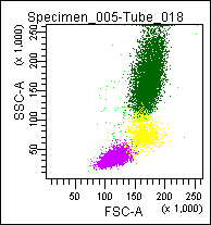 COMBI IC Reagent: Mouse anti Myeloperoxidase-C2 (FITC) and Mouse anti Lactoferrin (PE)