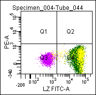 Mouse anti Lysozyme, conjugated to FITC