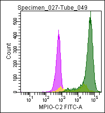 Mouse anti Myeloperoxidase-C2 (MPO-C2), conjugated to FITC