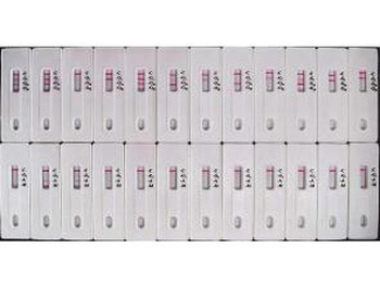 Isotyping Kit
