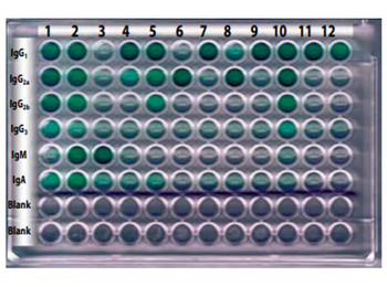 Isotyping Kit