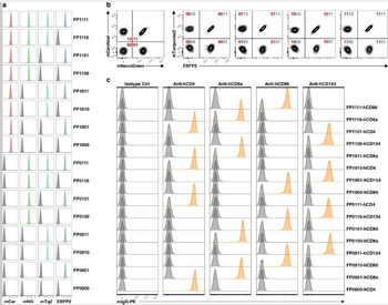 Mouse IgG1 Kappa Isotype control Antibody