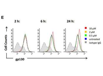 Mouse IgG2a isotype Control Antibody