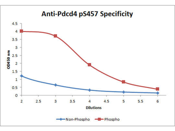 Pdcd4 phospho S457 Antibody Biotin Conjugated