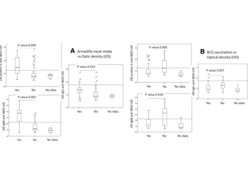 Human IgG (H&L) Antibody