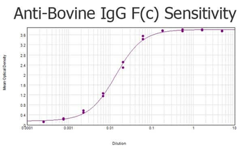 Bovine IgG Fc Antibody
