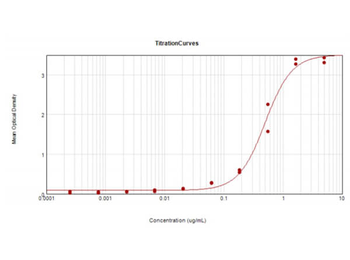 Cat IgG (H&L) Antibody Alkaline Phosphatase Conjugated