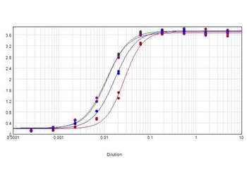 Horse IgG Fc Antibody Peroxidase Conjugated