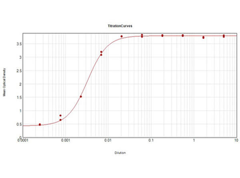 Horse IgG (H&L) Antibody