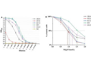Mouse IgM (mu chain) Antibody Peroxidase Conjugated
