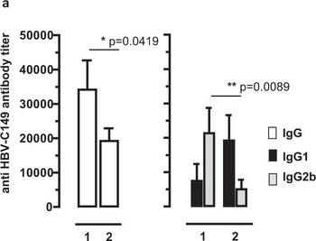 Mouse IgG2b (Gamma 2b chain) Antibody Peroxidase Conjugated
